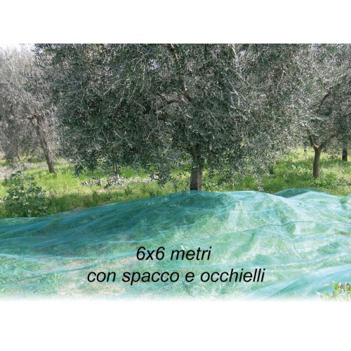 Rete per Raccolta Olive 6x6 metri con Spacco Occhielli Metallo Telo Antispina