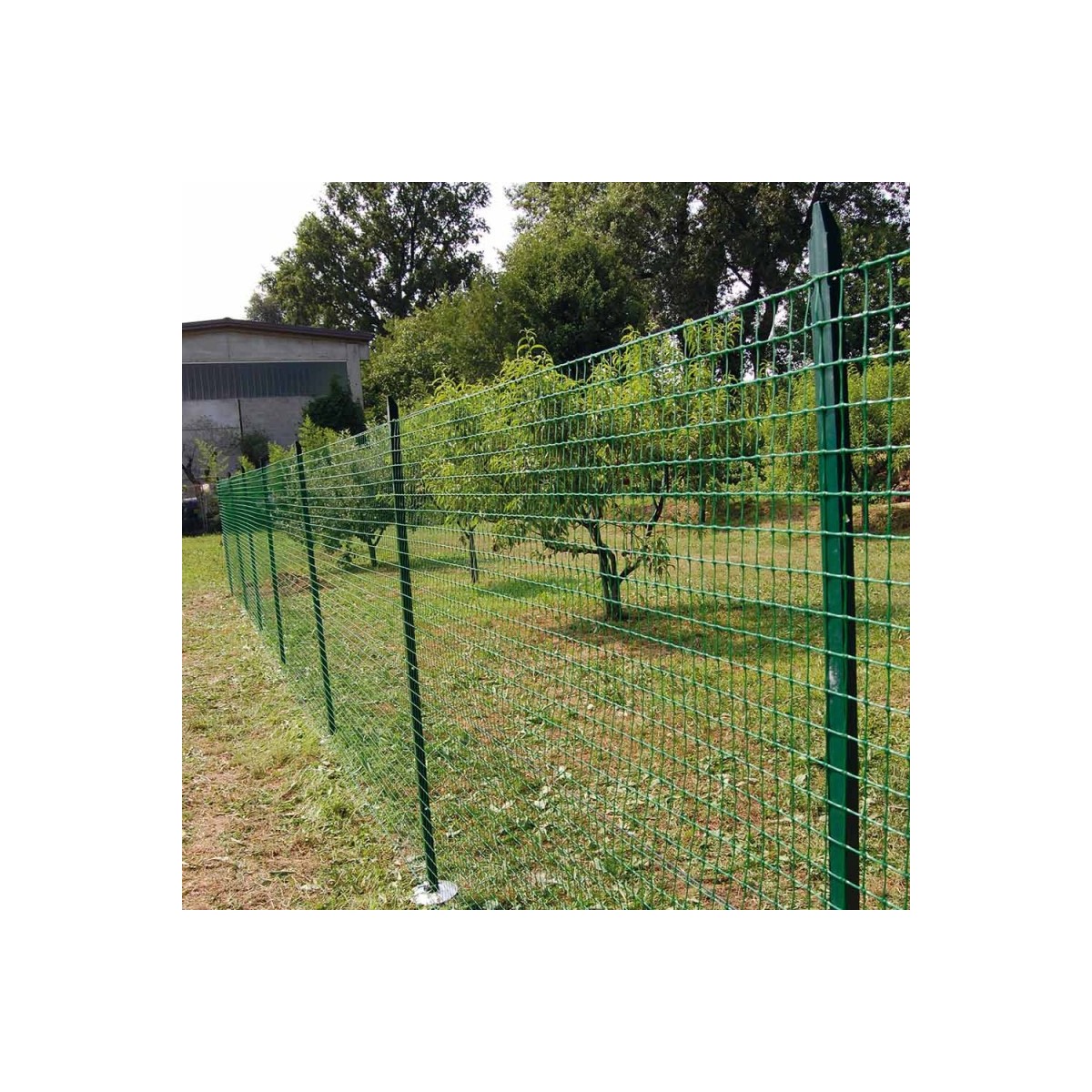 10 PZ Palo paletto in ferro a T 35x35x3,5 mm plastificato verde per rete  recinzione metallica MADE IN ITALY (H 225 cm)