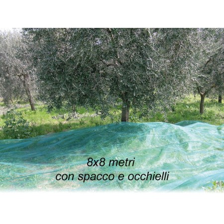 Rete per Raccolta Olive 8x8 mt con Spacco Occhielli Telo Antispina Polietilene