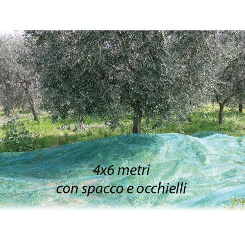 Rete per Raccolta Olive 4x6 metri con Spacco Occhielli Metallo Telo Antispina