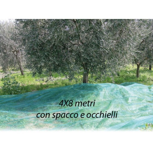 Rete per Raccolta Olive 4x8 metri con Spacco Occhielli Metallo Telo Antispina