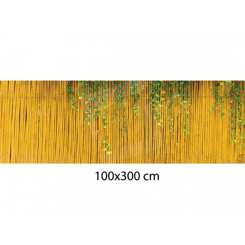 Arella in Cannucce 100x300 di Bambu Frangivista Recinzione per Cancello