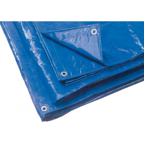 Telo Blu Occhiellato 3x4 mt Resistente Multiuso in PVC Antistrappo