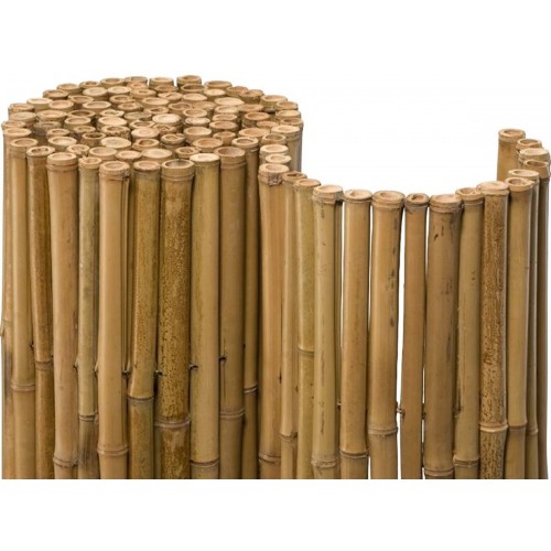 Arella in Bamboo 150x300 Arredamento per il Giardino