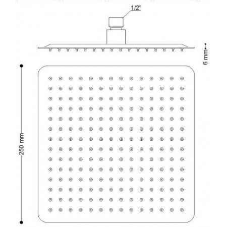 Soffione doccia Inox 250x250 mm