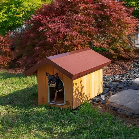 Cuccia per Cani mini 47x61x44 cm in legno per esterni