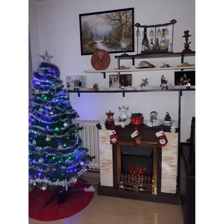 Camino Elettrico 1500W da Terra Noce Rustico Effetto Fiamma Realistico