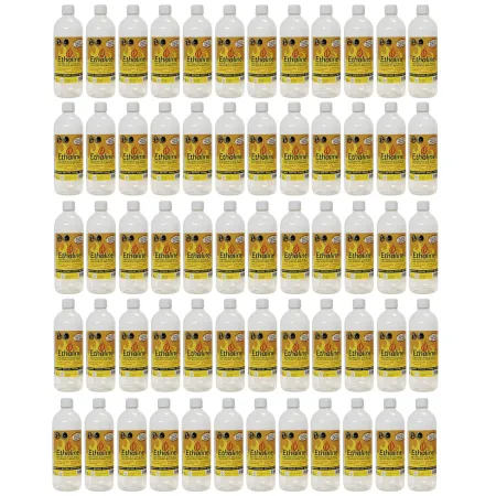 Bioetanolo 60 Taniche 1L per Biocamini e Stufe Combustibile Naturale