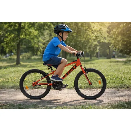 Bicicletta 20 Pollici Cambio Shimano 6 Velocità Telaio Acciaio Rosso