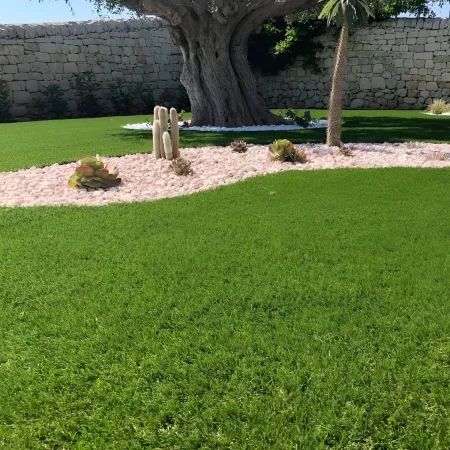 Prato Sintetico Drenante 25 mm 2x10 m Erba Verde Realistica da Esterno