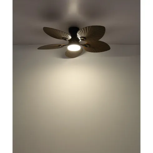 Ventilatore Soffitto con Luce Regolabile Nero Marrone 22W Telecomando