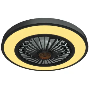 Ventilatore da Soffitto con Luce 54 cm Nero Telecomando Luce Notturna