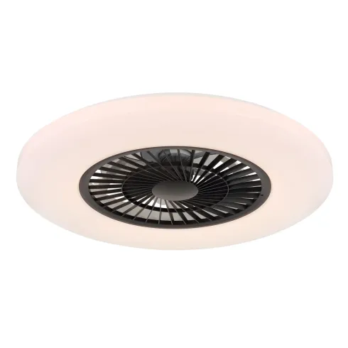 Ventilatore da Soffitto con Nero Bianco 60 cm LED RGB Telecomando