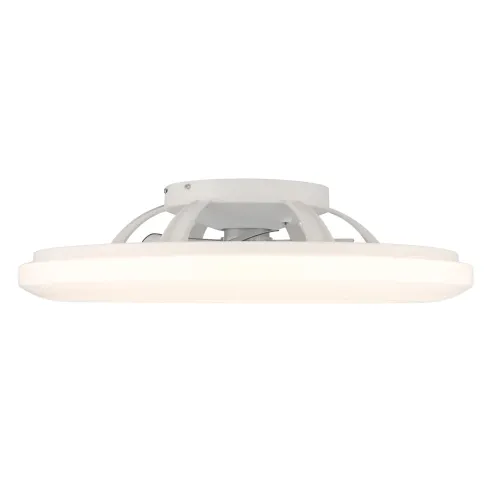 Ventilatore da Soffitto con Argento Bianco 60 cm LED RGB Telecomando