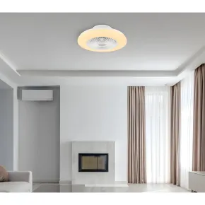 Ventilatore da Soffitto con Luce in Metallo Bianco 50 cm Telecomando 2