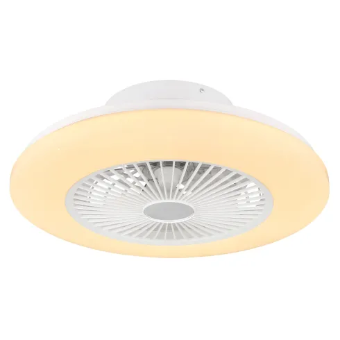 Ventilatore da Soffitto con Luce in Metallo Bianco 50 cm Telecomando