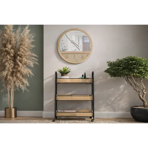 Carrello Portapiante con Ruote 3 Ripiani in Metallo Beige Nero