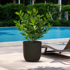 Vaso in Resina Marrone 35x34 Resistente Raggi UV Materiale Riciclabile 2