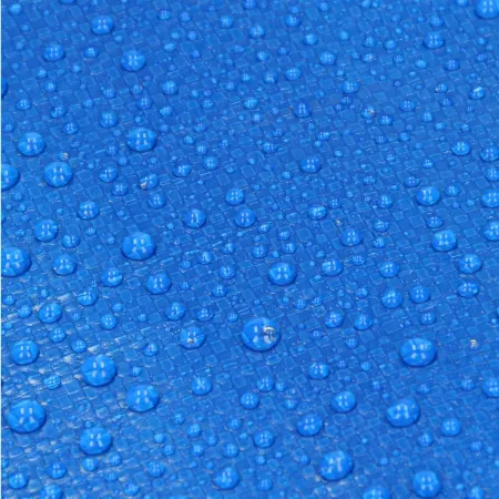 Telo Occhiellato Idrorepellente PE Blu 5x8 m Lavabile Bordi Rinforzati