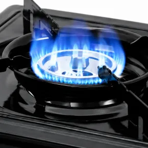 Fornello a Gas GPL Portatile 2,1 kW Valigetta Temperatura Regolabile 2