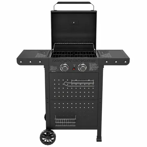 Barbecue a Gas 2 Bruciatori Acciaio Inox 5 kW Griglia in Ghisa Smaltata