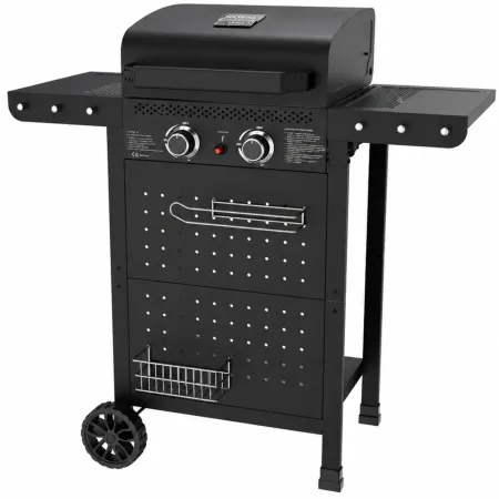 Barbecue a Gas 2 Bruciatori Acciaio Inox 5 kW Griglia in Ghisa Smaltata