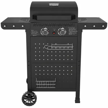 Barbecue a Gas 2 Bruciatori Acciaio Inox 5 kW Griglia in Ghisa Smaltata