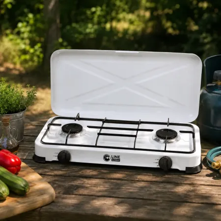 Fornello a Gas GPL 2 Fuochi Portatile 4,4 kW con Coperchio da Esterno