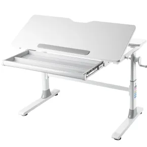 Scrivania Regolabile 100x60 cm con Piano Disegno Inclinabile Cassetto 2