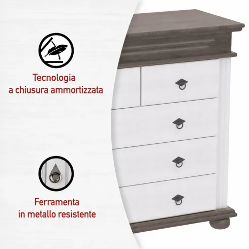 Cassettiera per Camera da Letto 5 Cassetti in Legno Bianco Grigio