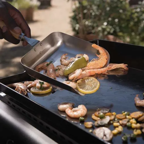 Barbecue a Gas 2 Fuochi Campingaz Piastra Smaltata Bruciatori Nero