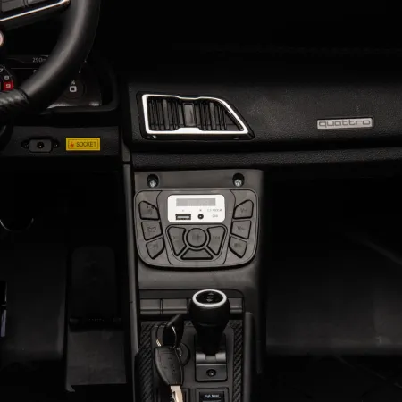Auto Elettrica per Bambini Audi R8 Big 24V Rosa con Sedile in Pelle