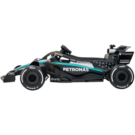 Macchina Elettrica per Bambini Mercedes Formula 1 12V Nero Ruote EVA