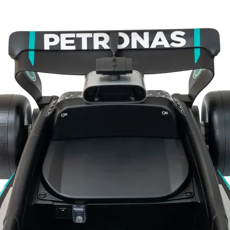 Macchina Elettrica per Bambini Mercedes Formula 1 12V Nero Ruote EVA