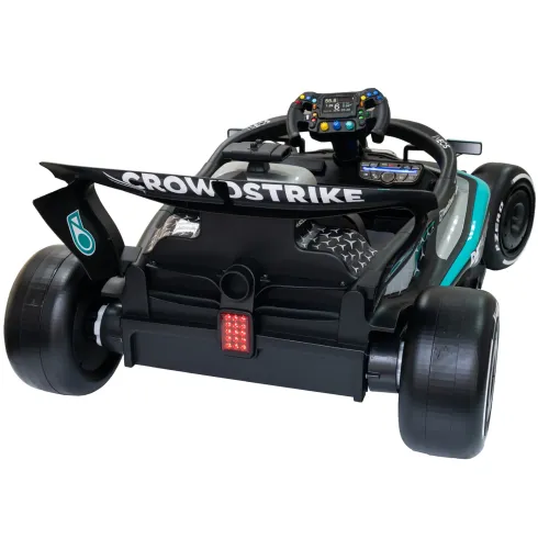 Macchina Elettrica per Bambini Mercedes Formula 1 12V Nero Ruote EVA