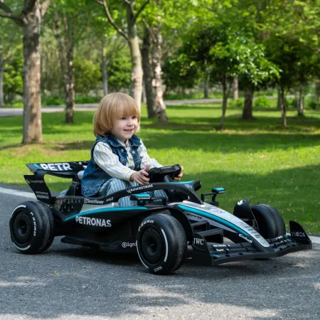 Macchina Elettrica per Bambini Mercedes Formula 1 12V Nero Ruote EVA