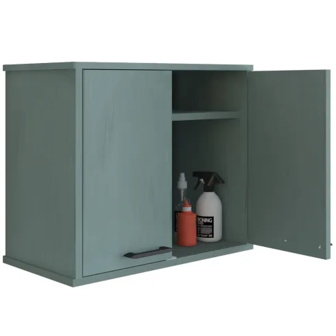Pensile Lavanderia 60x34x52,5 cm in PVC Verde Ripiano Doppia Anta