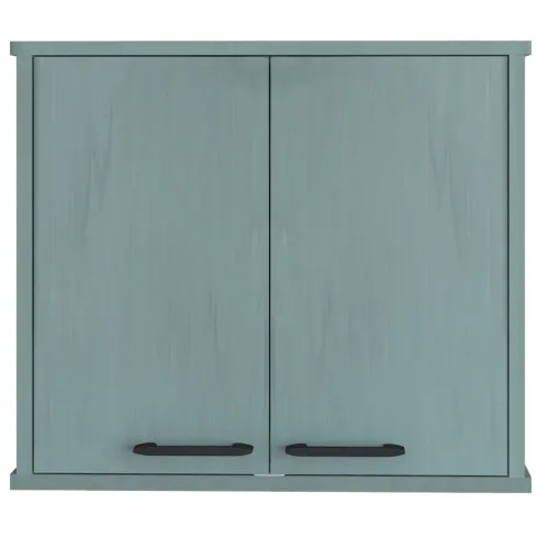 Pensile Lavanderia 60x34x52,5 cm in PVC Verde Ripiano Doppia Anta
