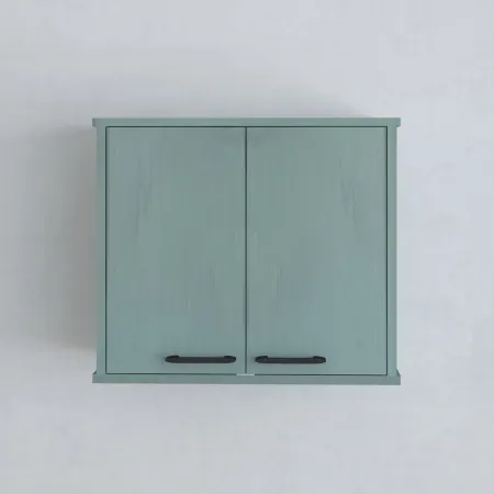 Pensile Lavanderia 60x34x52,5 cm in PVC Verde Ripiano Doppia Anta