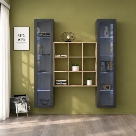 Parete Attrezzata Soggiorno TV 170 cm Antracite con Vetrine Libreria