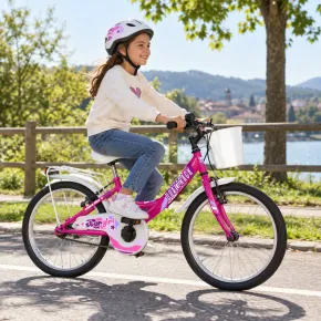 Bicicletta 20" per Bambini Fucsia 1 Velocità con Cestino Portapacchi 2